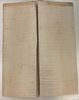 Back & Sides Sycamore / Europ. Maple, Archtop Unique Piece #021